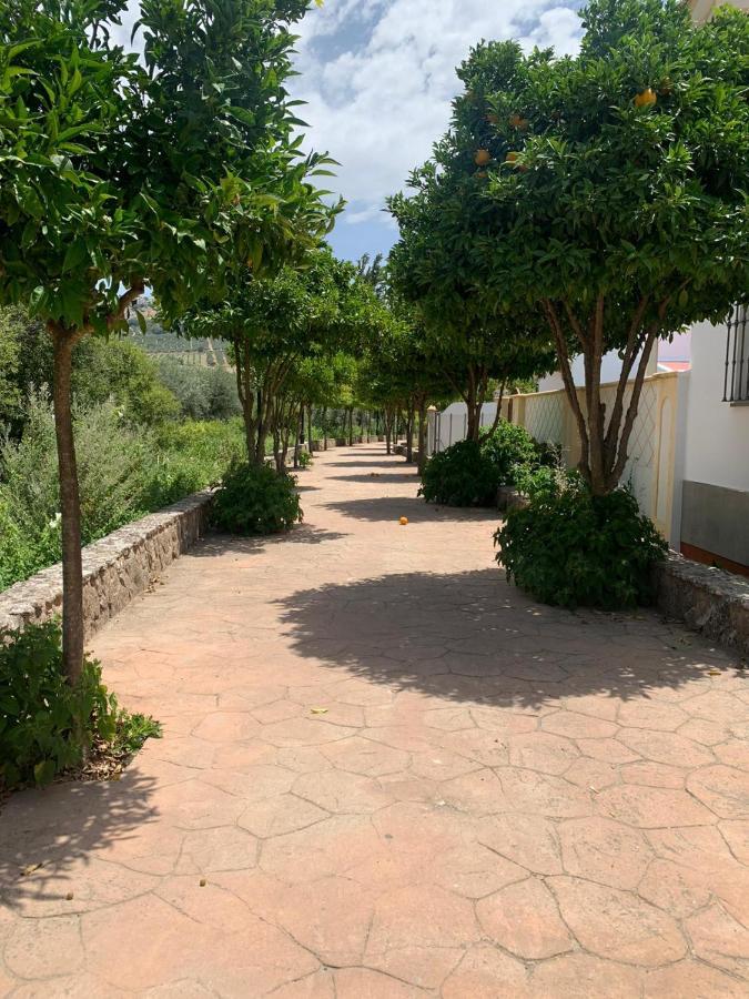 Apartamento En Cuevas Del Becerro Екстериор снимка